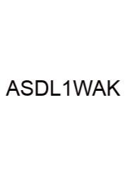 Asi Se Dice Level 1 Workbook Answer Key