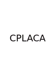 Commonlit Puritan Laws And Character Answers