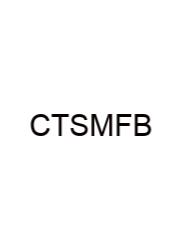 Connective Tissue Surrounding Muscle Fiber Bundles