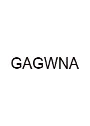 Gramatica A Gustar With Nouns Answers