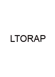 Label The Olfactory Receptors And Pathways