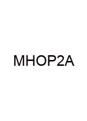 Mental Health Online Practice 2023 A