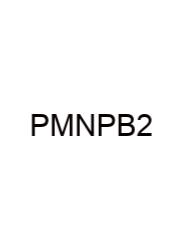 Pn Maternal Newborn Practice B 2023
