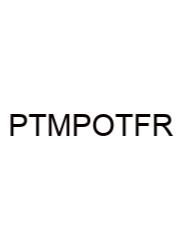Predict The Major Product Of The Following Reaction.