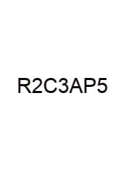Realidades 2 Capitulo 3a Answers Page 55