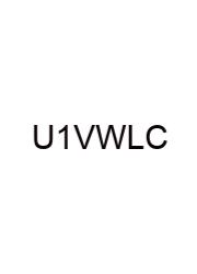 Unit 11 Vocabulary Workshop Level C