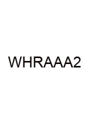 Walmart Hourly Retail Associate Assessment Answers 2024