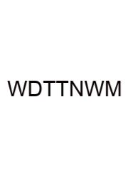What Does The Term New Woman Mean