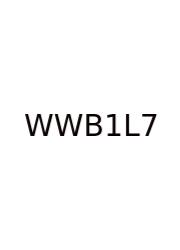 Wordly Wise Book 12 Lesson 7