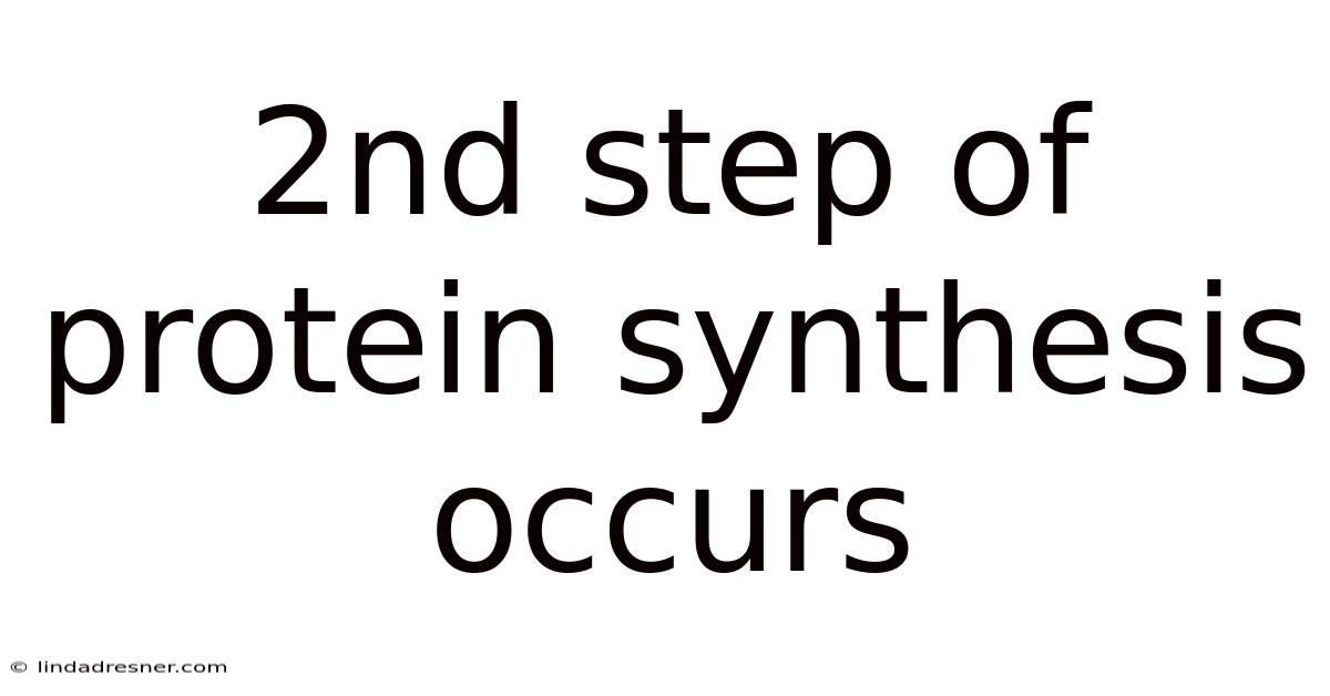 2nd Step Of Protein Synthesis Occurs