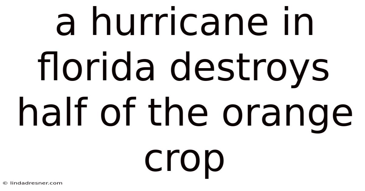 A Hurricane In Florida Destroys Half Of The Orange Crop