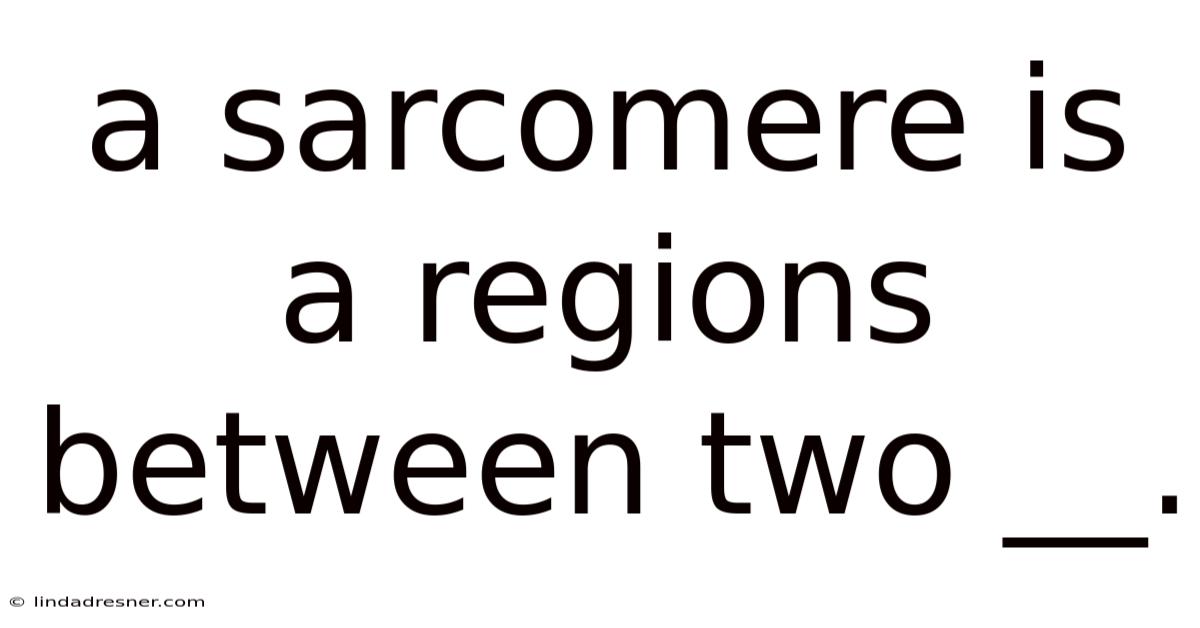 A Sarcomere Is A Regions Between Two __.