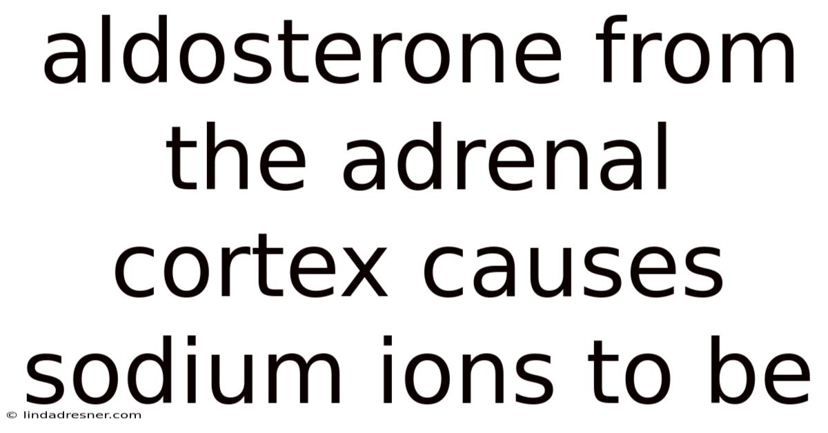 Aldosterone From The Adrenal Cortex Causes Sodium Ions To Be