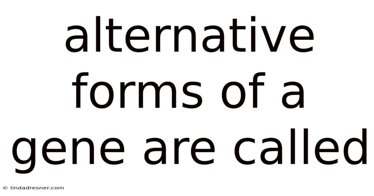 Alternative Forms Of A Gene Are Called