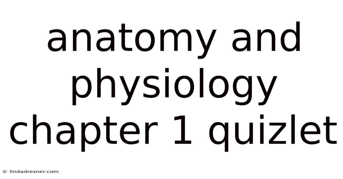Anatomy And Physiology Chapter 1 Quizlet