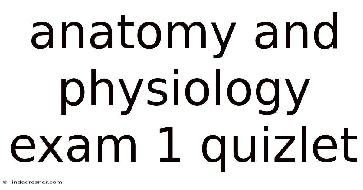 Anatomy And Physiology Exam 1 Quizlet