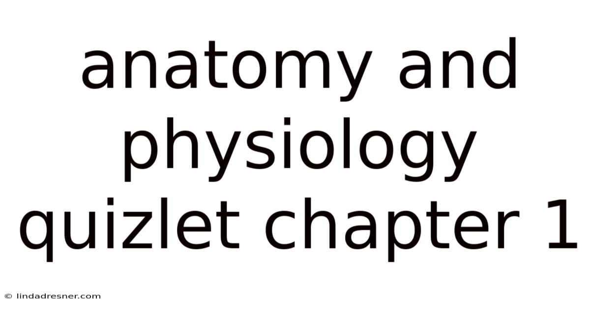 Anatomy And Physiology Quizlet Chapter 1