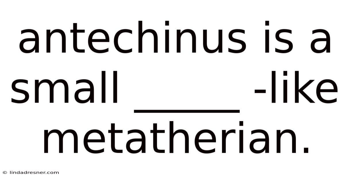 Antechinus Is A Small _____ -like Metatherian.