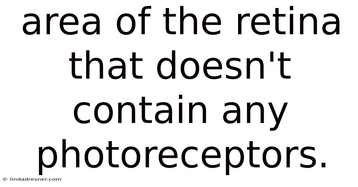 Area Of The Retina That Doesn't Contain Any Photoreceptors.