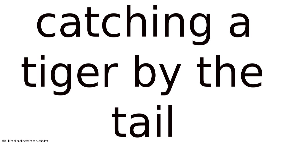 Catching A Tiger By The Tail