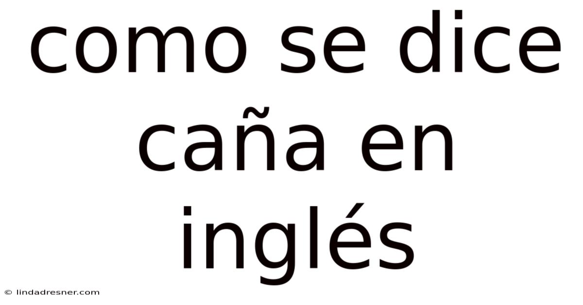 Como Se Dice Caña En Inglés