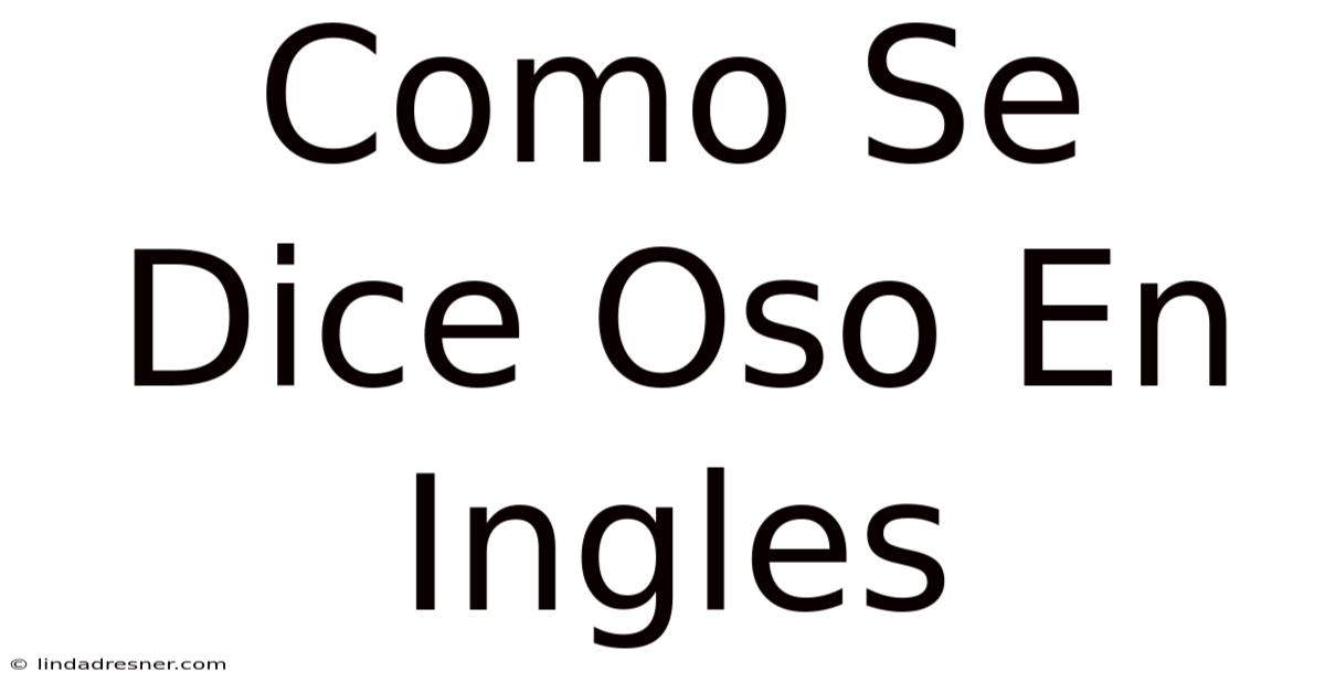 Como Se Dice Oso En Inglés