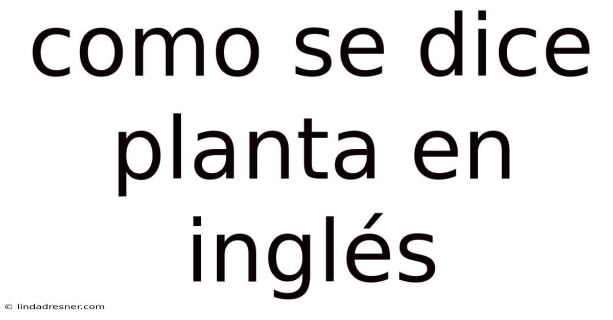 Como Se Dice Planta En Inglés