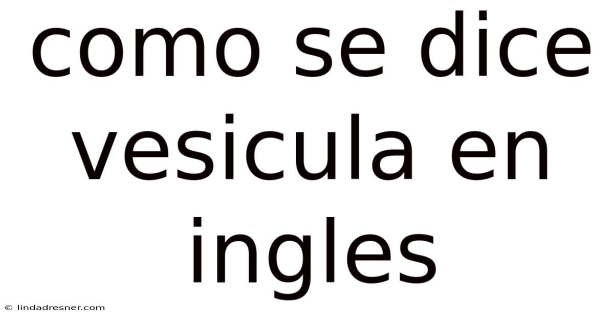 Como Se Dice Vesicula En Ingles