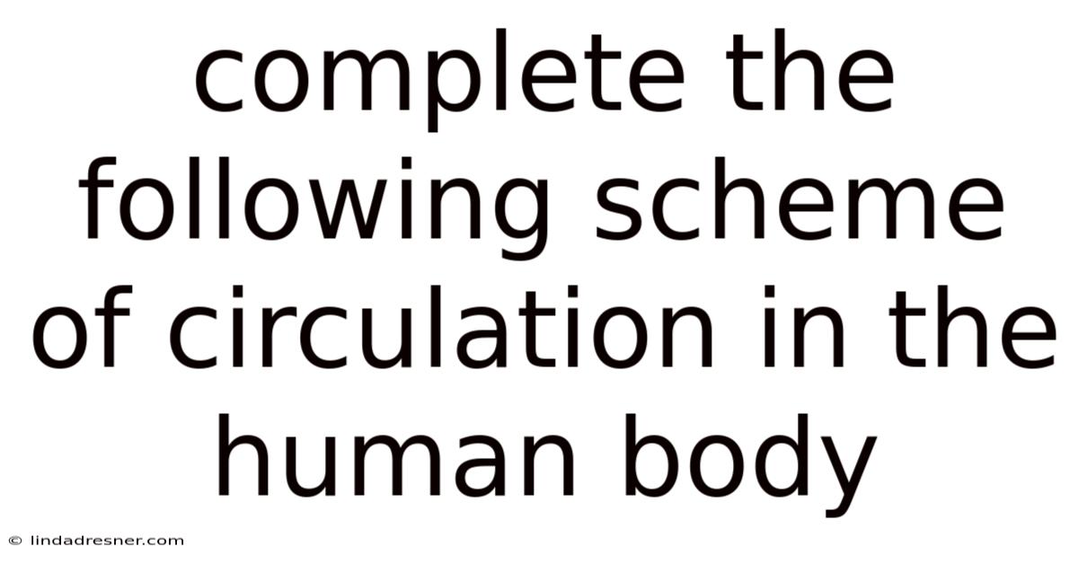 Complete The Following Scheme Of Circulation In The Human Body