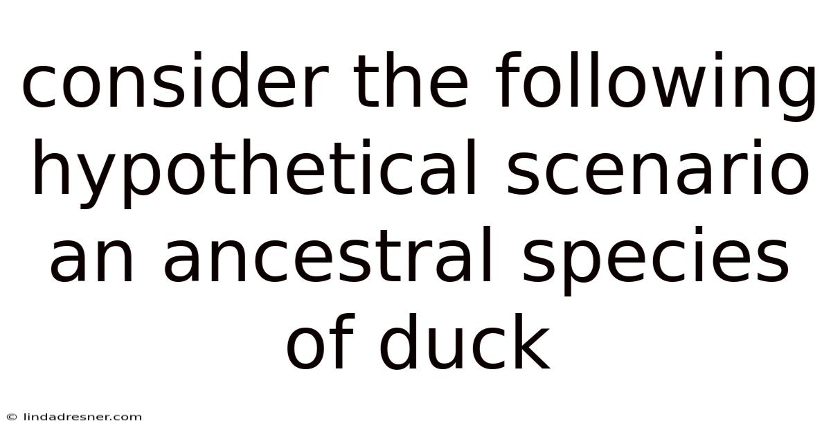 Consider The Following Hypothetical Scenario An Ancestral Species Of Duck