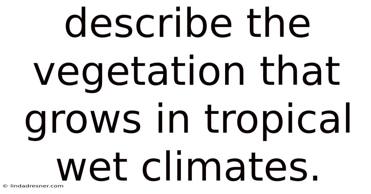 Describe The Vegetation That Grows In Tropical Wet Climates.