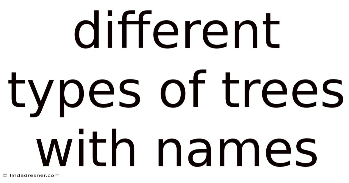 Different Types Of Trees With Names