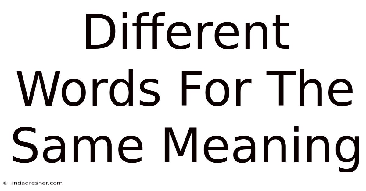 Different Words For The Same Meaning