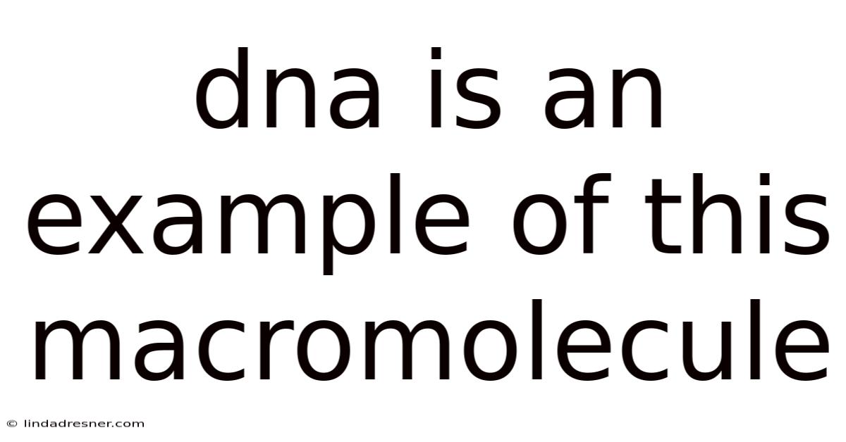 Dna Is An Example Of This Macromolecule