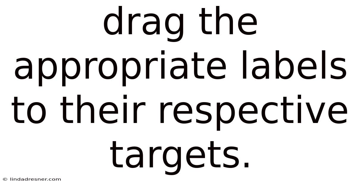 Drag The Appropriate Labels To Their Respective Targets.