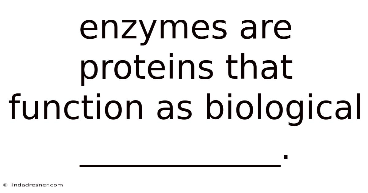 Enzymes Are Proteins That Function As Biological ____________.