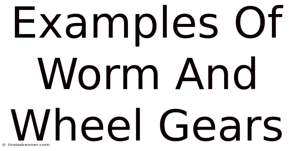 Examples Of Worm And Wheel Gears