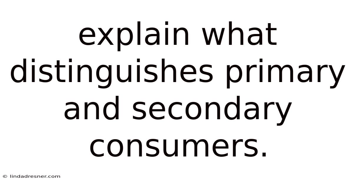 Explain What Distinguishes Primary And Secondary Consumers.