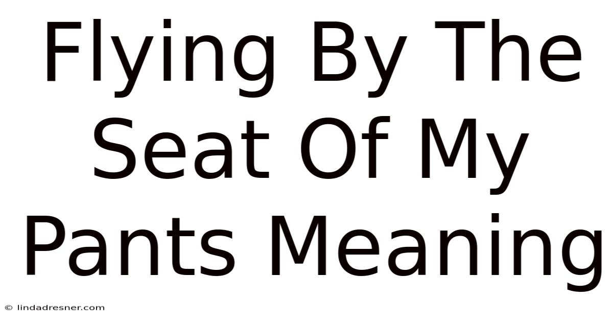 Flying By The Seat Of My Pants Meaning