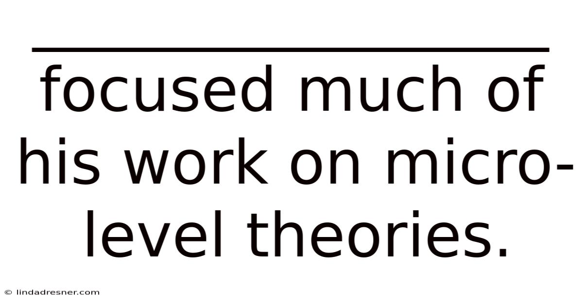 _________________ Focused Much Of His Work On Micro-level Theories.