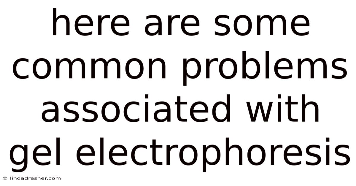 Here Are Some Common Problems Associated With Gel Electrophoresis