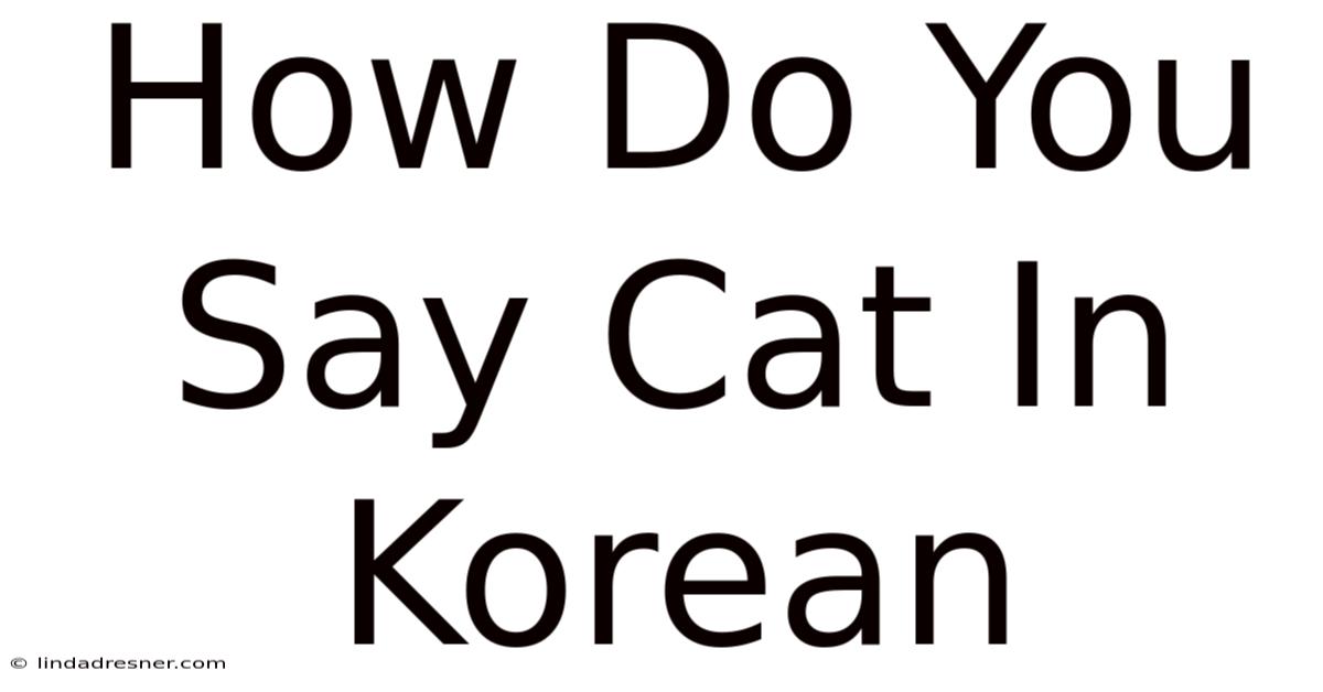 How Do You Say Cat In Korean