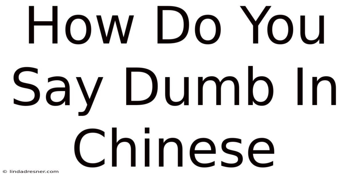 How Do You Say Dumb In Chinese