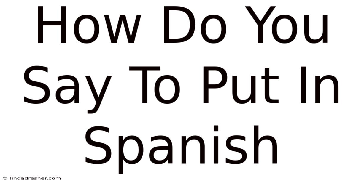 How Do You Say To Put In Spanish