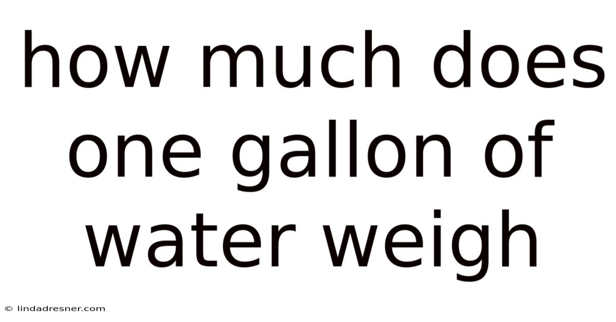 How Much Does One Gallon Of Water Weigh