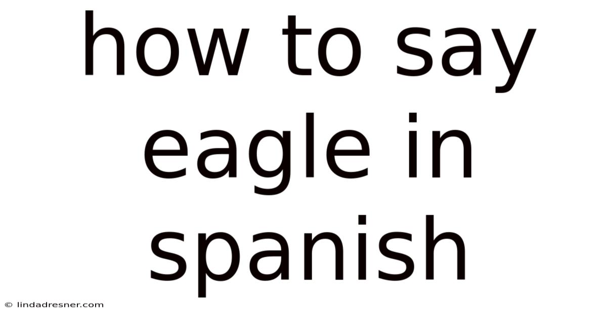 How To Say Eagle In Spanish