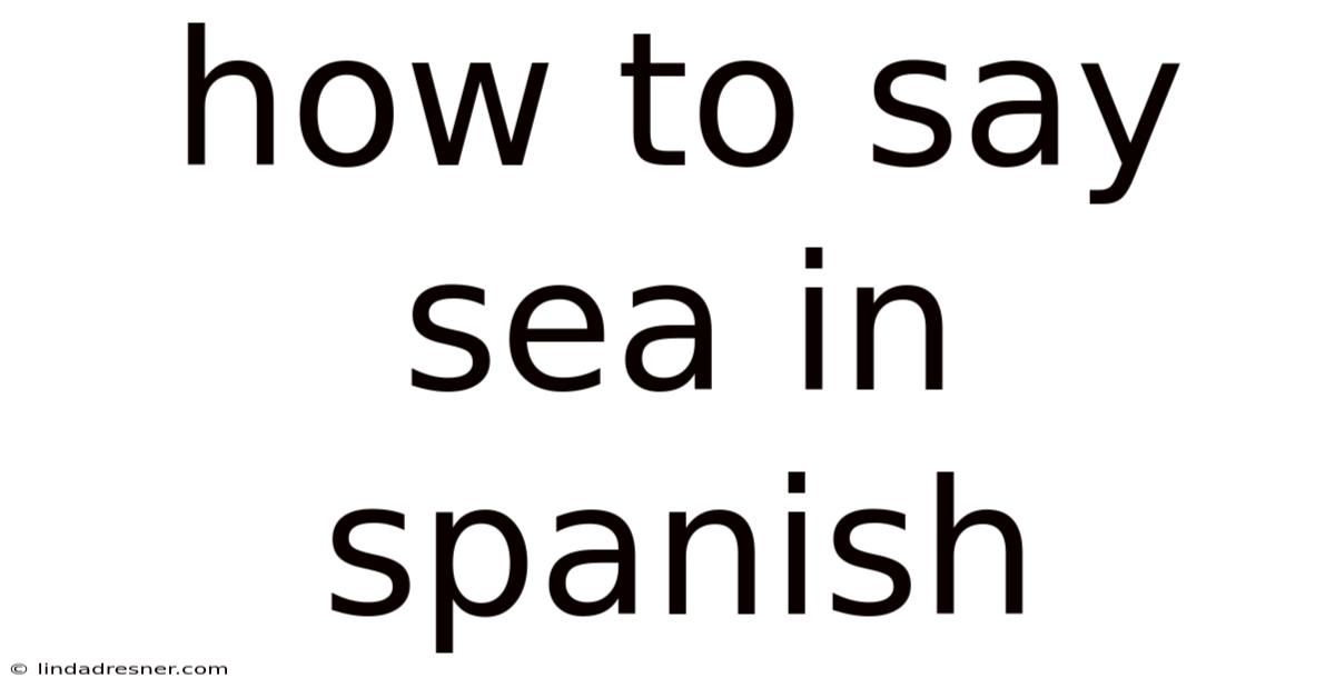 How To Say Sea In Spanish