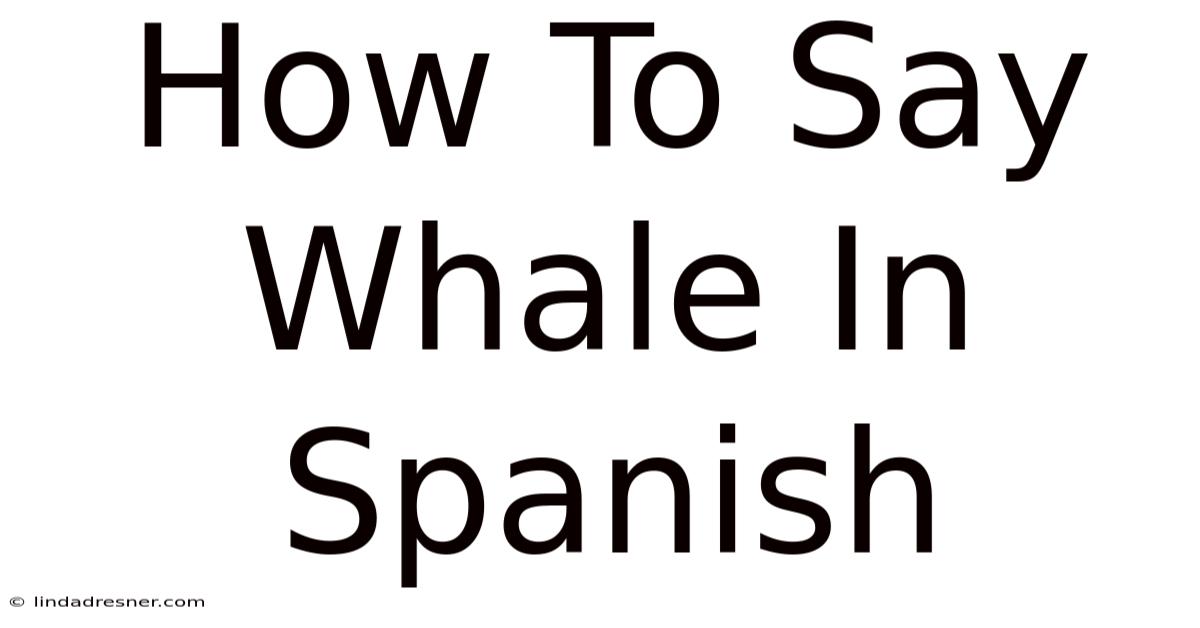 How To Say Whale In Spanish