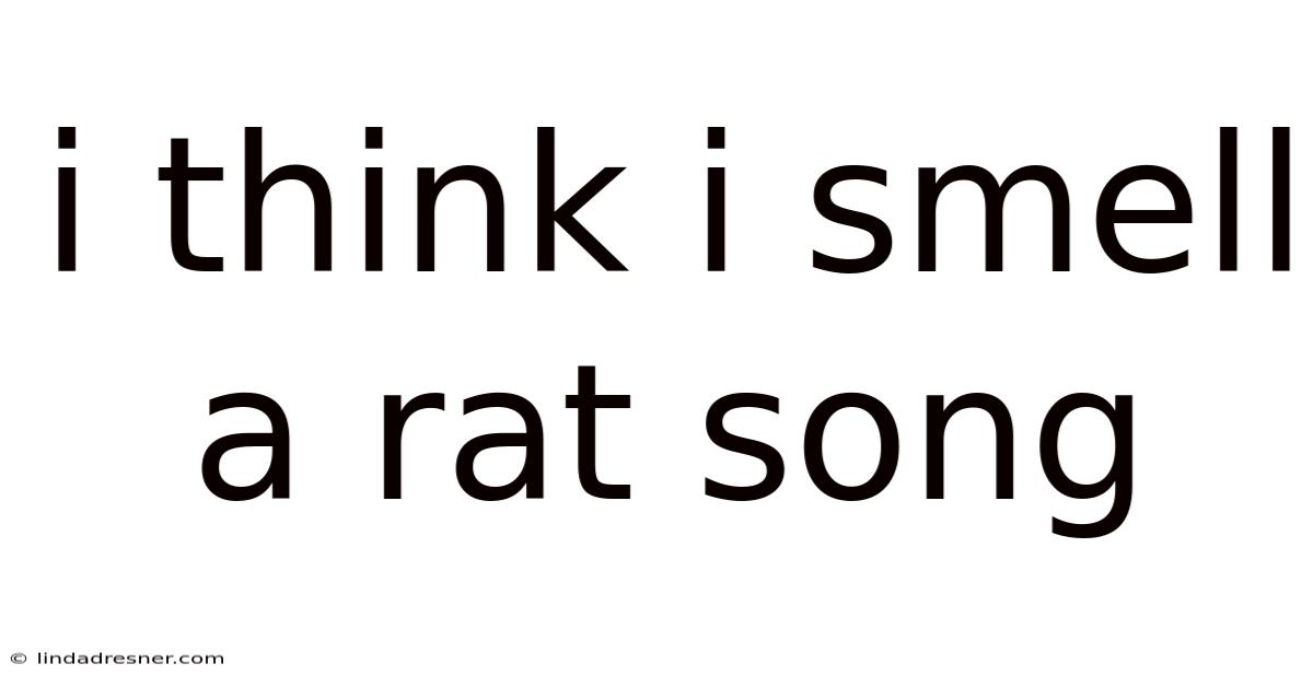 I Think I Smell A Rat Song