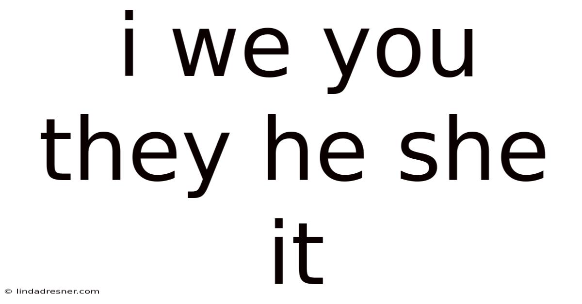 I We You They He She It